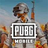 PUBG-M